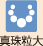 真珠粒大