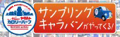Newヤクルトカロリーハーフ キャラバン