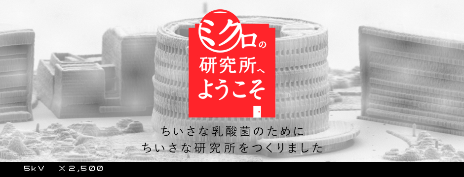 ミクロの研究所へようこそ ちいさな乳酸菌のためにちいさな研究所をつくりました