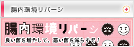腸内環境リバーシ