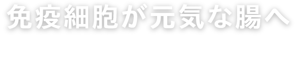 免疫細胞が元気な腸へ 健康に過ごすためには、栄養分をしっかりと吸収でき、免疫細胞が元気な腸であることが大切です。