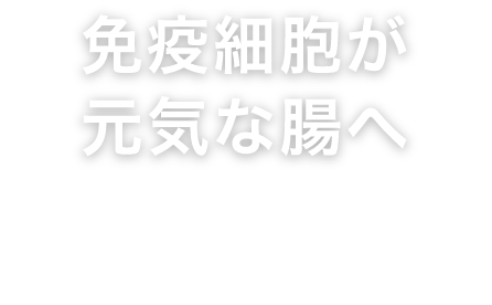 免疫細胞が元気な腸へ 健康に過ごすためには、栄養分をしっかりと吸収でき、免疫細胞が元気な腸であることが大切です。