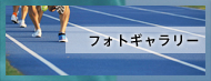 フォトギャラリー