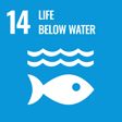 sdg14