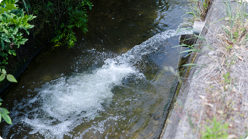 Discharge of appropriately processed water