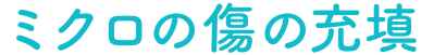 ミクロの傷の充填