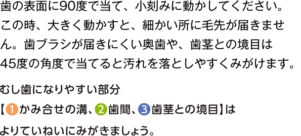 歯の表面に90度で当て、小刻みに動かしてください。この時、大きく動かすと、細かい所に毛先が届きません。歯ブラシが届きにくい奥歯や、歯茎との境目は45度の角度で当てると汚れを落としやすくみがけます。