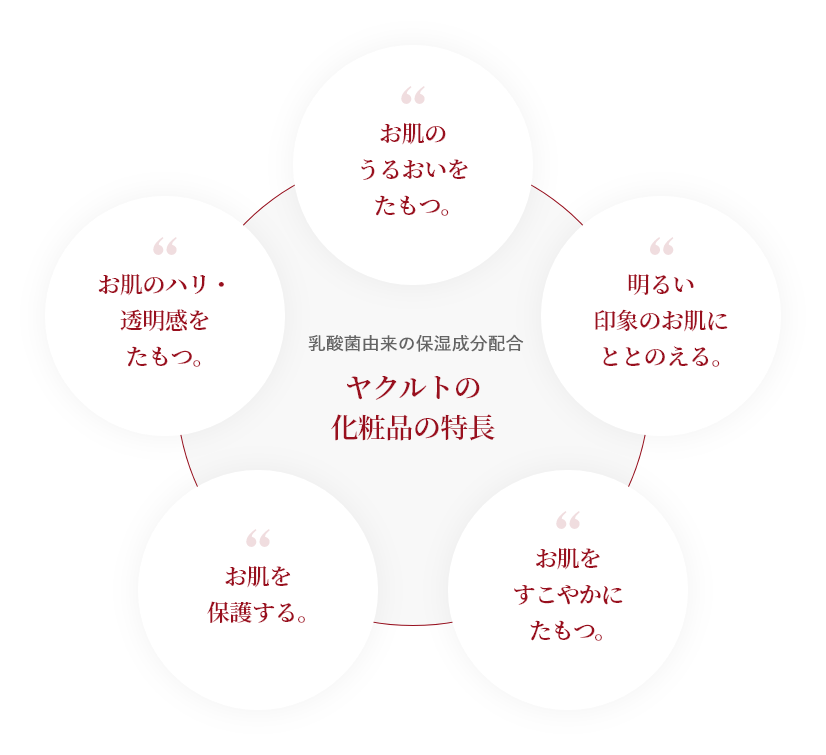 S.E.(シロタエッセンス)