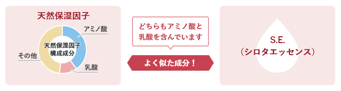 天然保湿因子(Natural Moisturizing Factor)