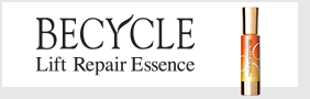 BECYCLE Lift Repair ESSENCE