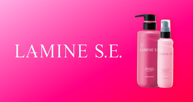 LAMINE S.E.
