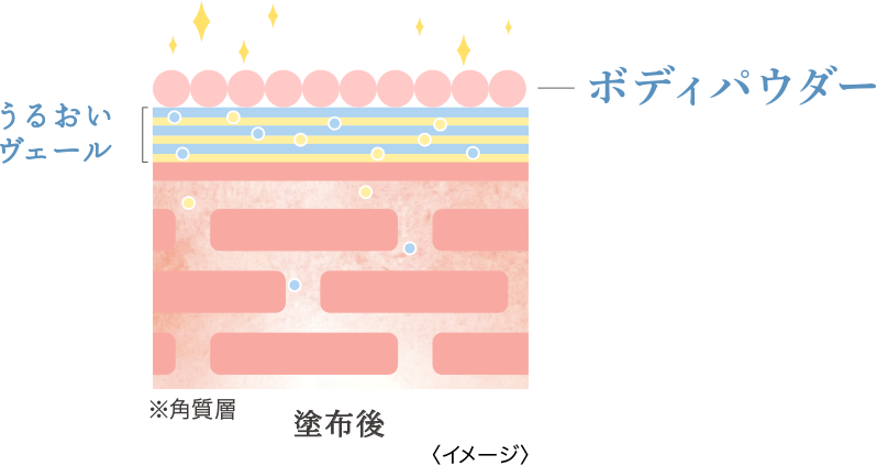 うるおいヴェール ボディーパウダー ※角質層 塗布後 イメージ