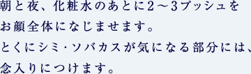 朝と夜、化粧水のあとに2〜3プッシュをお顔全体になじませます。とくにシミ・ソバカスが気になる部分には、念入りにつけます。