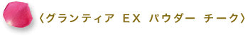 〈グランティア EX パウダー チーク〉