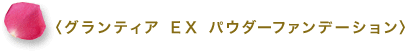 〈グランティア ＥＸ パウダーファンデーション〉
