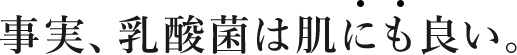 事実、乳酸菌は肌にも良い。