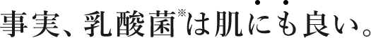 事実、乳酸菌※は肌にも良い。
