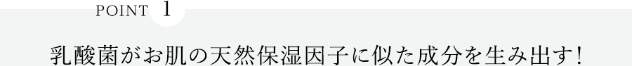 POINT1 乳酸菌がお肌の天然保湿因子に似た成分を生み出す！