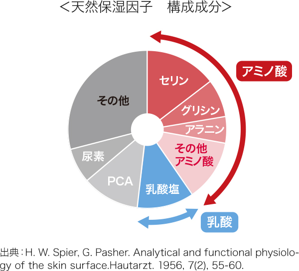 天然保湿因子 構成成分