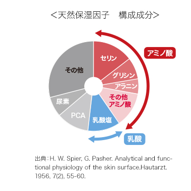 天然保湿因子 構成成分