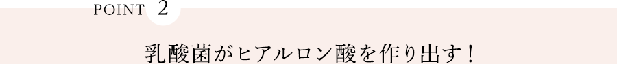 POINT2 乳酸菌がヒアルロン酸を作り出す！