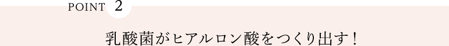 POINT2 乳酸菌がヒアルロン酸をつくり出す！
