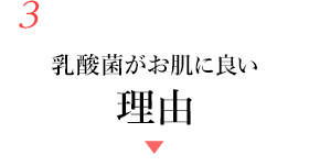 3 乳酸菌がお肌に良い理由