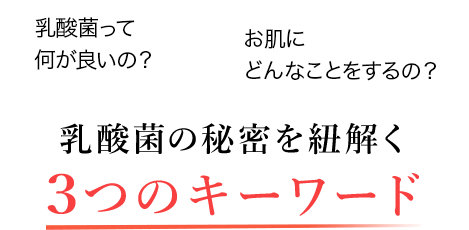 乳酸菌って何が良いの？ お肌にどんなことをするの？ 乳酸菌の秘密を紐解く 3つのキーワード