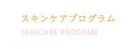 スキンケアプログラム SKINCARE PROGRAM