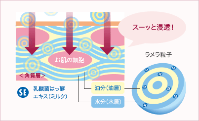 SE 乳酸菌はっ酵エキス（ミルク）