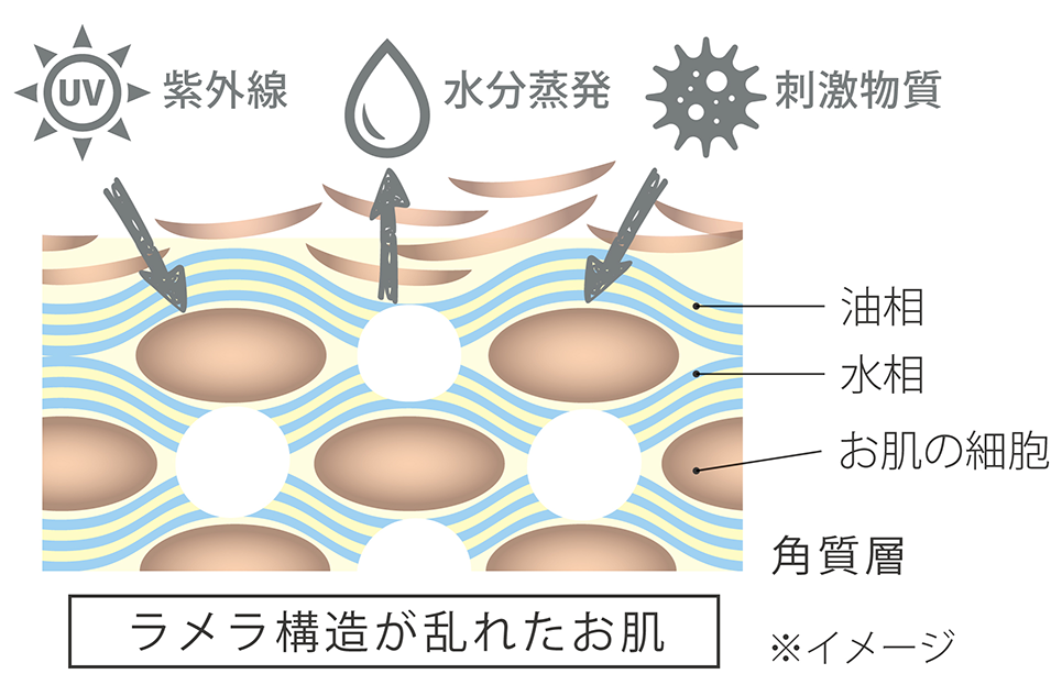 ラメラ構造が乱れたお肌のイメージ図