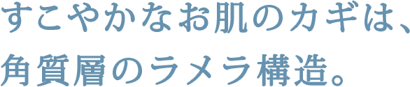 すこやかなお肌のカギは、角質層のラメラ構造。