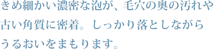 きめ細かい濃密な泡が、毛穴の奥の汚れや古い角質に密着。しっかり落としながらうるおいをまもります。