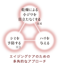 シミを予防する※3 乾燥による小ジワを目立たなくする※4 ハリをあたえる エイジングケアのための多角的なアプローチ