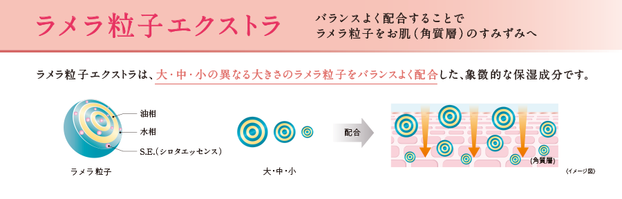 ラメラ粒子エクストラ バランスよく配合することでラメラ粒子をお肌(角質層)のすみずみへ ラメラ粒子エクストラは、大・中・小の異なる大きさのラメラ粒子をバランスよく配合した、象徴的な保湿成分です。