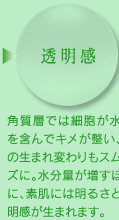 透明感