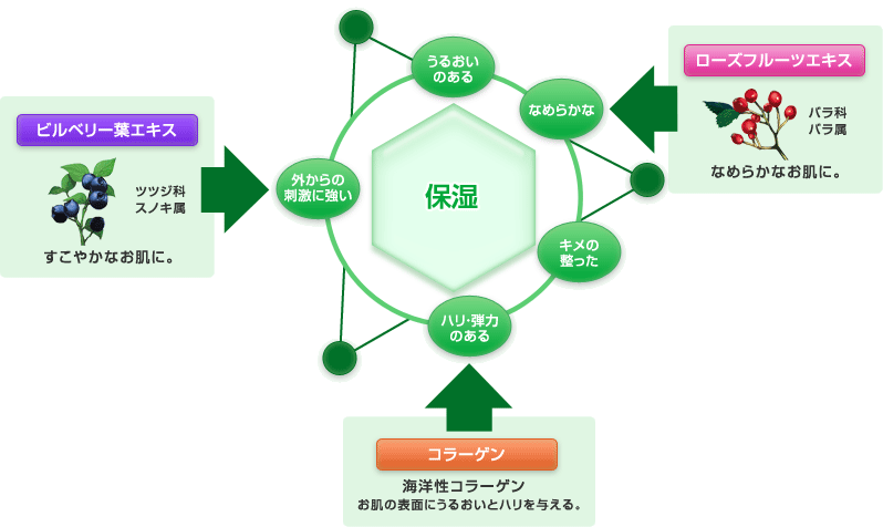 ビルベリー葉エキス　すこやかなお肌に。／ローズフルーツエキス　なめらかなお肌に。／コラーゲン　お肌の表面にうるおいとハリを与える。