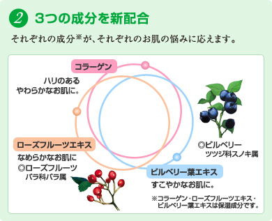 2．3つの成分を新配合　それぞれの成分が、それぞれのお肌の悩みに応えます。