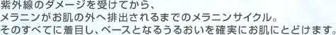 紫外線のダメージを受けてから、メラニンがお肌の外へ排出されるまでのメラニンサイクル。そのすべてに着目し、ベースとなるうるおいを確実にお肌にとどけます。