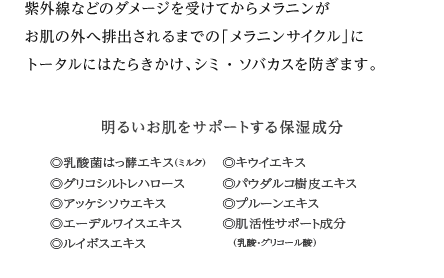 紫外線などのダメージを受けてからメラニンがお肌の外へ排出されるまでの「メラニンサイクル」にトータルにはたらきかけ、シミ・ソバカスを防ぎます。明るいお肌をサポートする保湿成分の一覧