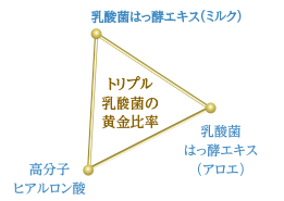 トリプル乳酸菌の黄金比率の図