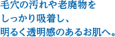 毛穴の汚れや老廃物をしっかり吸着し、明るく透明感のあるお肌へ。