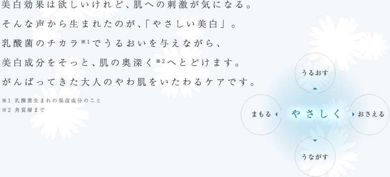 美白効果は欲しいけれど、肌への刺激が気になる。そんな声から生まれたのが、「やさしい美白」。乳酸菌のチカラ（※1）でうるおいを与えながら、美白成分をそっと、肌の奥深く（※2）へとどけます。がんばってきた大人のやわ肌をいたわるケアです。（※1 乳酸菌生まれの保湿成分のこと　※2 角質層まで）