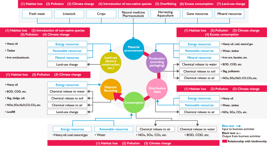 Relationship between business activities and biodiversity