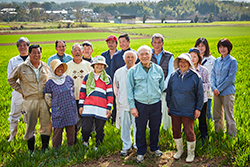 Donation of seedlings to NGOs