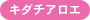 キダチアロエ