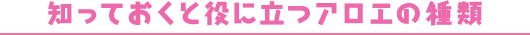知っておくと役に立つアロエの種類