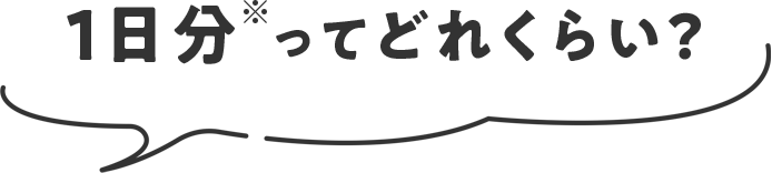 1日分※ってどれくらい?