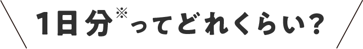 １日分※ってどれくらい？