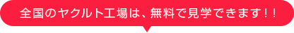 全国のヤクルト工場は、無料で見学できます！！